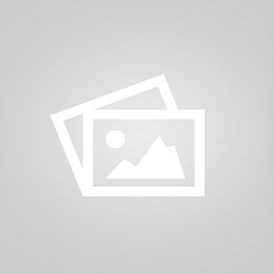 DR. DHEERENDRA SINGH